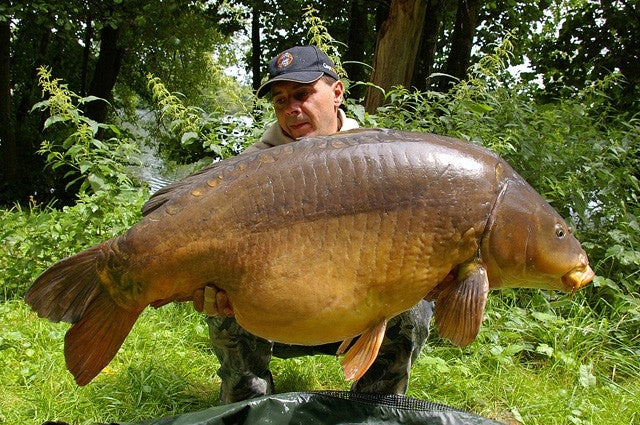 Laden Sie das Bild in Galerie -Viewer, Ib Carptrack Monster/Liver Boilie