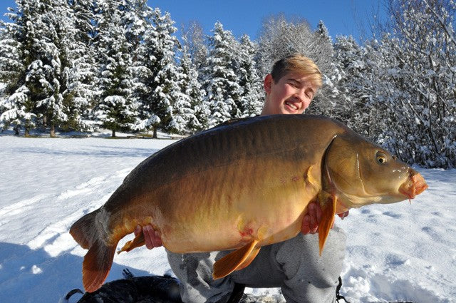 Carica immagine in Galleria Viewer, IB Carptrack Monsters Paradise Boilie Acque Fredde - Cold Water