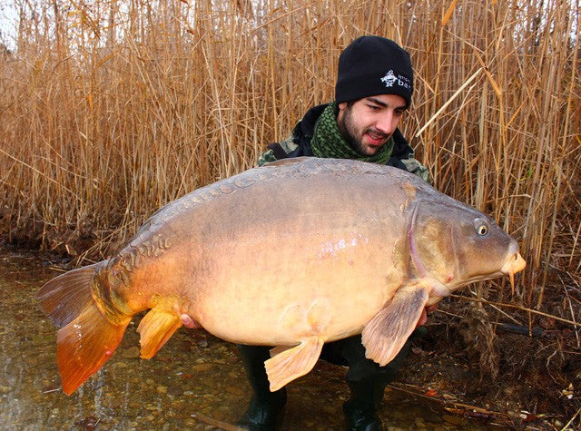 Laden Sie das Bild in Galerie -Viewer, Ib Carptrack Monster-Liver Boilie Acque Fredde (Cold Water)