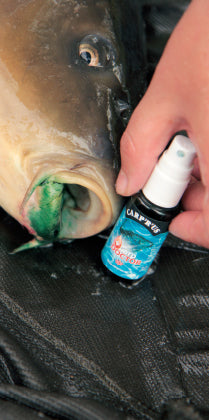 Carica immagine in Galleria Viewer, Carp'r'us Carp Doctor