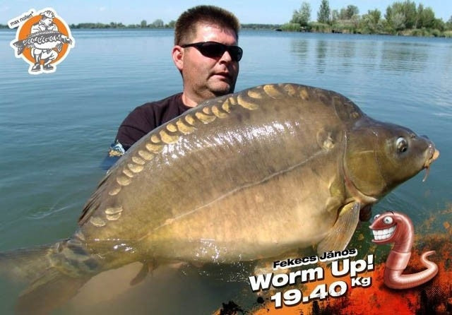 Laden Sie das Bild in Galerie -Viewer, IB Carptrack Worm Up Mix - Base Mix Carpfishing