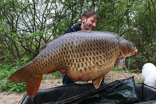 Laden Sie das Bild in Galerie -Viewer, IB Carptrack Worm Up Mix - Base Mix Carpfishing