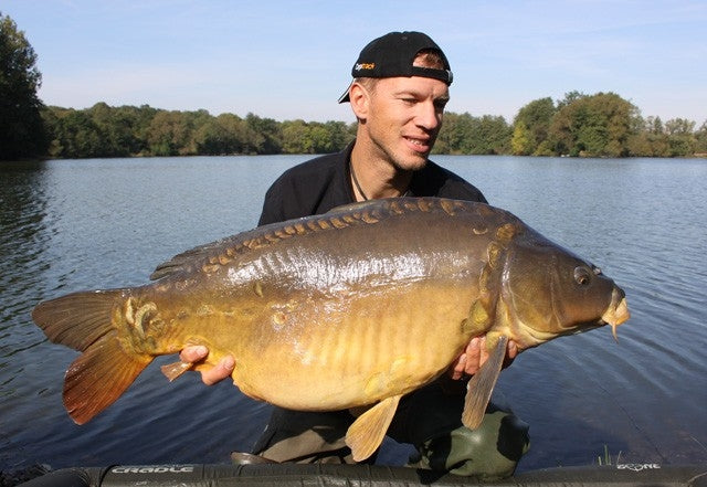 Laden Sie das Bild in Galerie -Viewer, Ib Carptrack Elite Mix