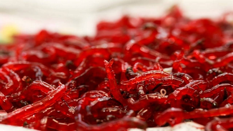 Carica immagine in Galleria Viewer, Ruto Bloodworm Surgelato 500gr