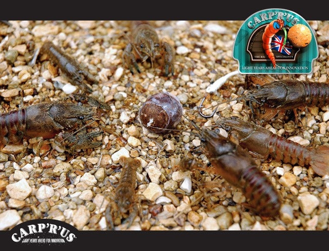 Load image into Gallery viewer, Carp'r'us Rapit Protective Sheath