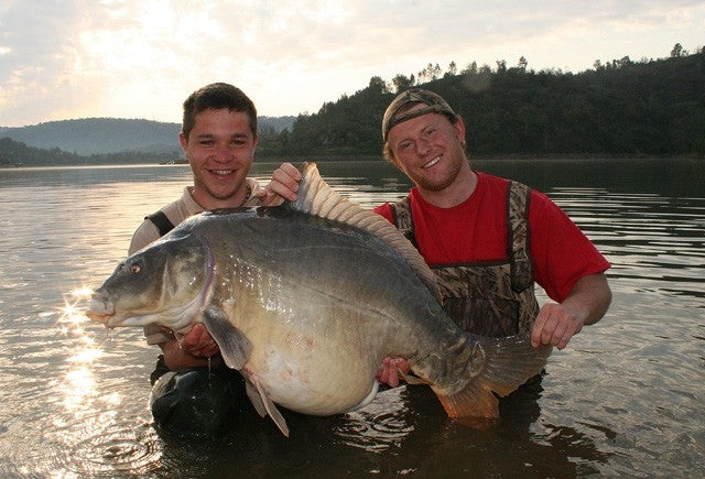 Laden Sie das Bild in Galerie -Viewer, Ib Carptrack Banana Boilie