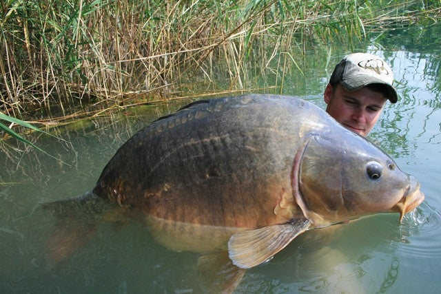 Carica immagine in Galleria Viewer, Ib Carptrack Elite Boilie