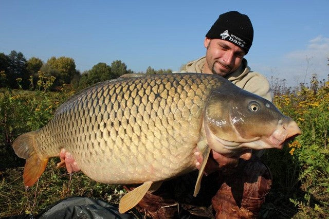 Laden Sie das Bild in Galerie -Viewer, Ib Carptrack Glm Full-Fat