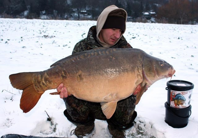 Carica immagine in Galleria Viewer, IB Carptrack Monsters Paradise Boilie Acque Fredde - Cold Water