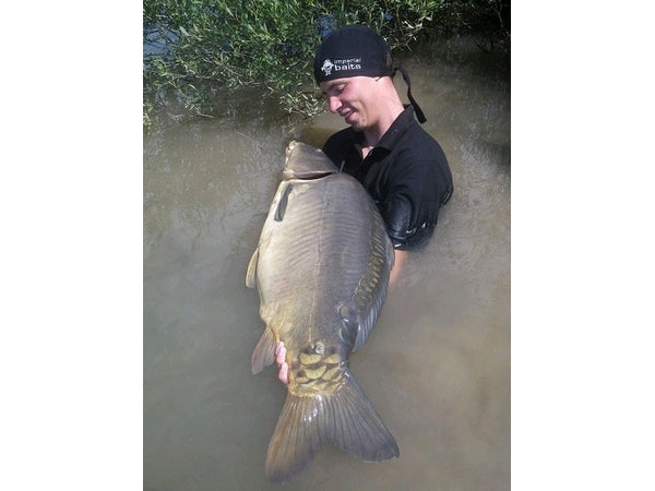 Carica immagine in Galleria Viewer, Ib Carptrack Monsters Paradise Mix