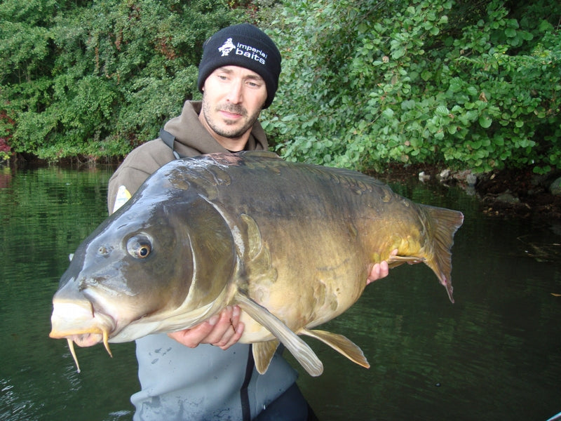 Carica immagine in Galleria Viewer, Ib Carptrack Monster/Liver Mix