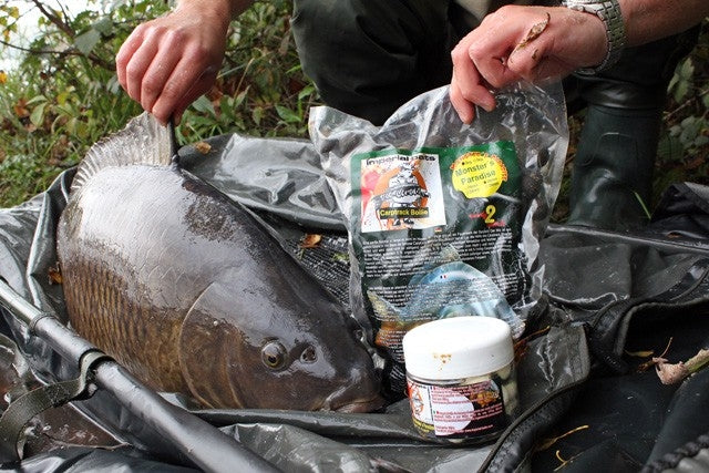 Laden Sie das Bild in Galerie -Viewer, Ib Carptrack Monsters Paradise Boilie