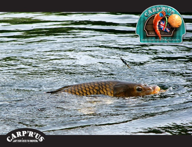 Laden Sie das Bild in Galerie -Viewer, Carp'r'us Snag Clips