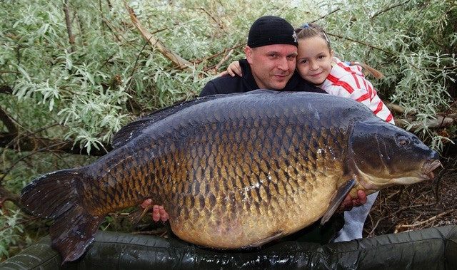 Carica immagine in Galleria Viewer, Ib Carptrack Elite Boilie