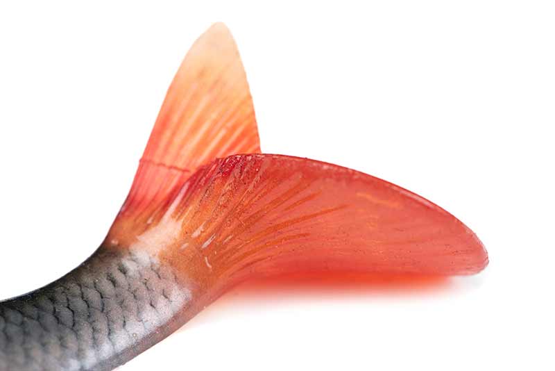 Carica immagine in Galleria Viewer, Fox Rage Ultra-Realistic Roach Replicant