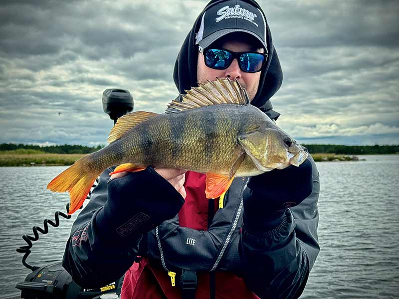Laden Sie das Bild in Galerie -Viewer, Fox Rage Pro Series Neoprene Mitts