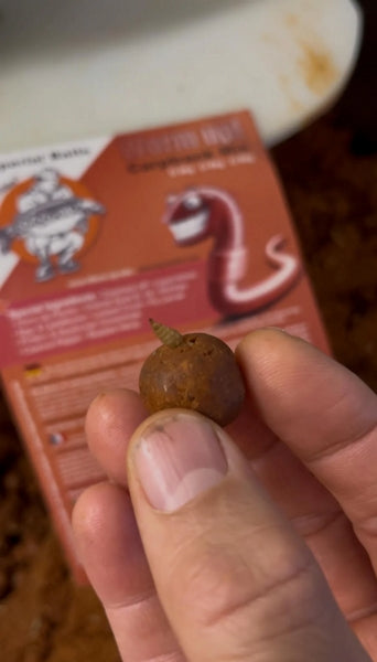 Laden Sie das Bild in Galerie -Viewer, IB Carptrack Worm Up Boilie