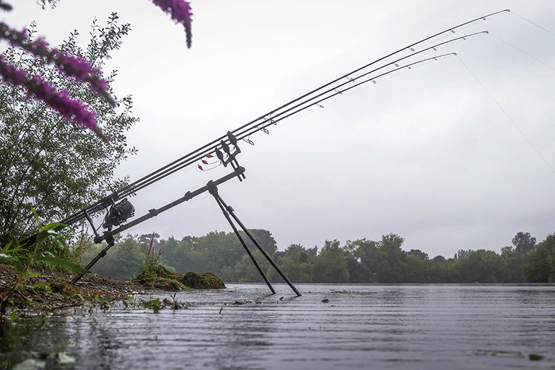 Carica immagine in Galleria Viewer, Fox Ranger Mk2 Camo Pod - Rod Pod 3 Canne Mimetico