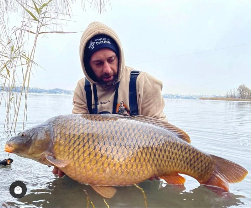Chargez l'image dans la visionneuse de la galerie, Sweat à capuche Imperial Baits "The Art of Bait" - Vêtements de pêche à la carpe