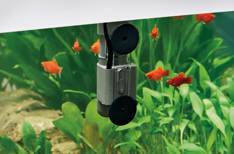 Laden Sie das Bild in Galerie -Viewer, OASE CrystalSkim 350 - Skimmer di Superficie