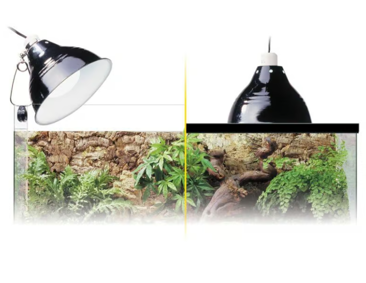 Laden Sie das Bild in Galerie -Viewer, EXO TERRA - Glow Light Medium - Portalampada a Morsetto con Riflettore Luminescente