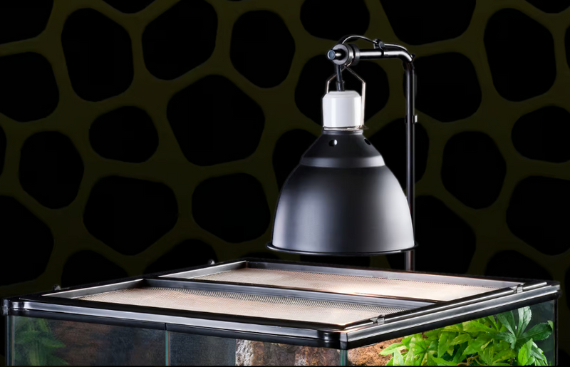 Laden Sie das Bild in Galerie -Viewer, EXO TERRA - Glow Light Large - Portalampada a Morsetto con Riflettore Luminescente