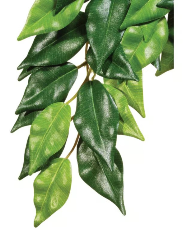 Laden Sie das Bild in Galerie -Viewer, EXO TERRA - Ficus Medium - Pianta Artificiale Appesa per Terrario