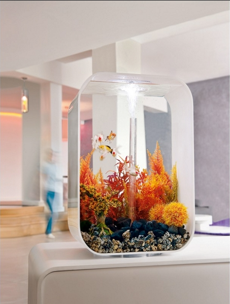 Carica immagine in Galleria Viewer, biOrb LIFE 60 MCR trasparente