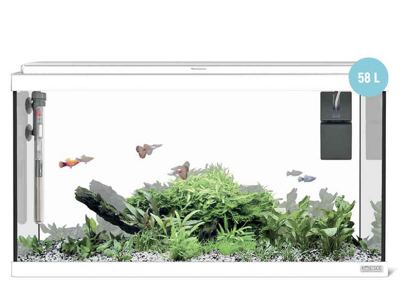 Carica immagine in Galleria Viewer, Sicce Moby Dick 60 Bianco - Acquario Completo