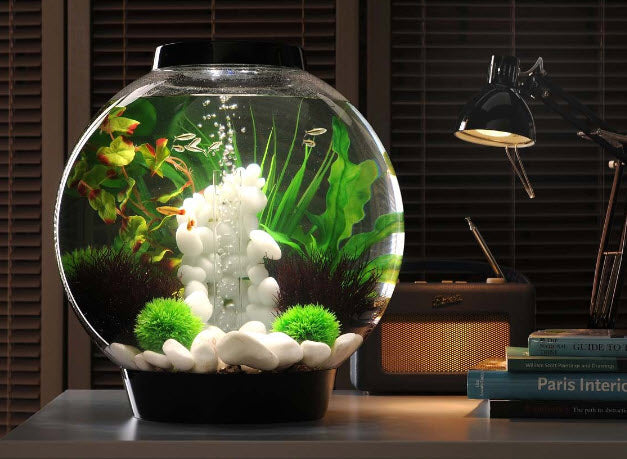Carica immagine in Galleria Viewer, biOrb Acquario CLASSIC 15 MCR Bianco