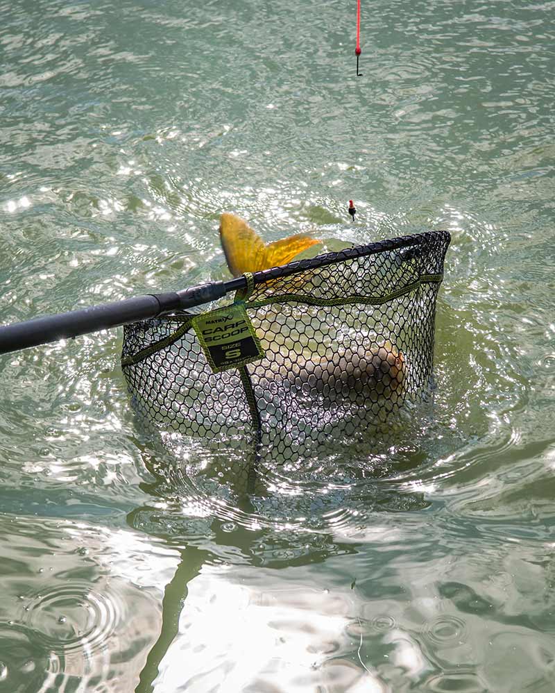 Carica immagine in Galleria Viewer, Matrix Carp Scoop Landing Net - Testa per Guadino Carpfishing