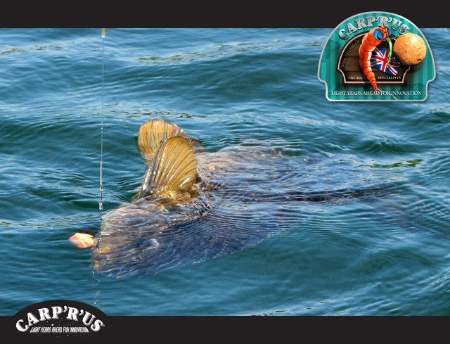Laden Sie das Bild in Galerie -Viewer, Carp'r'us Clearwater Fluorocarbon