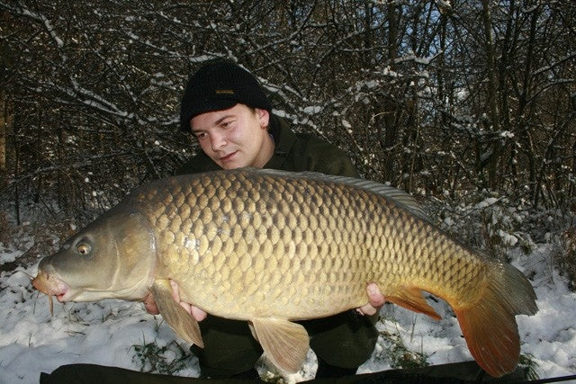 Laden Sie das Bild in Galerie -Viewer, Ib Carptrack Monster-Liver Boilie Acque Fredde (Cold Water)