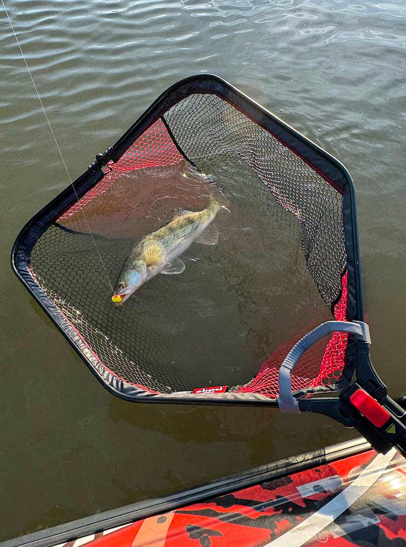Carica immagine in Galleria Viewer, Fox Rage Speedflow Folding Landing Nets
