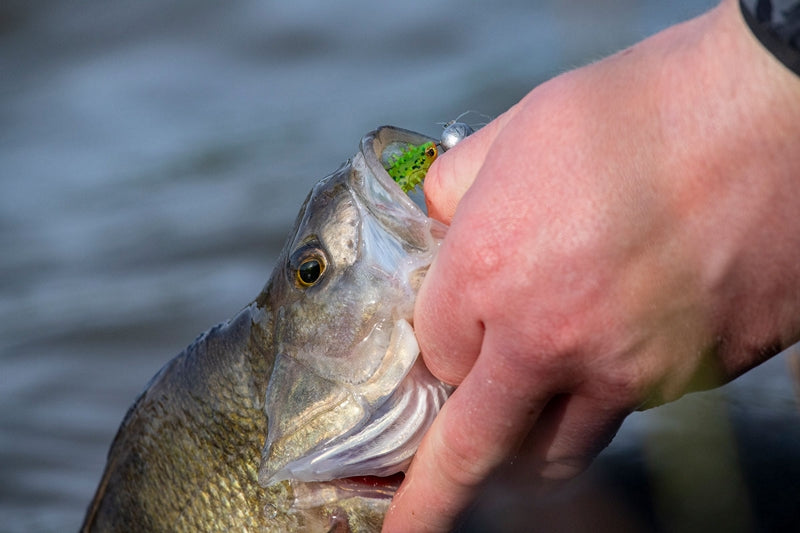 Carica immagine in Galleria Viewer, Fox Rage Micro Jig Heads