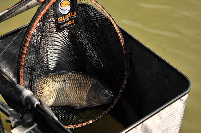 Carica immagine in Galleria Viewer, Guru Landing Net Duel 550 - Testa Guadino Rotonda 55cm per Carpe