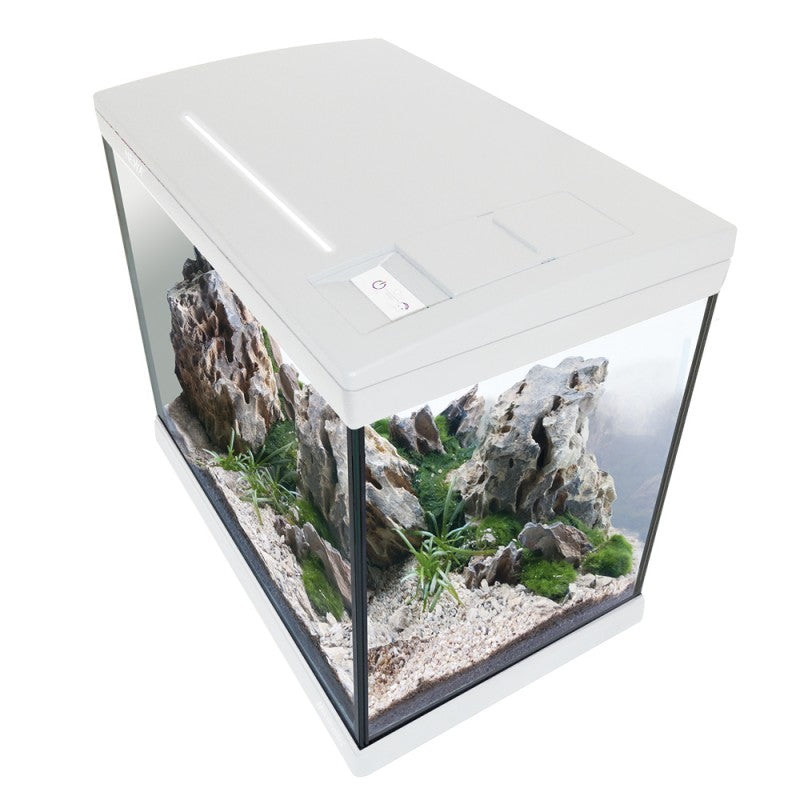 Carica immagine in Galleria Viewer, NEWA MIRABELLO 40 Bianco