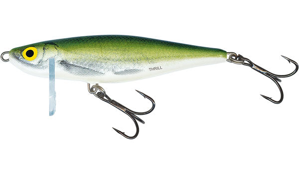 Laden Sie das Bild in Galerie -Viewer, Salmo Thrill Sinking 5cm