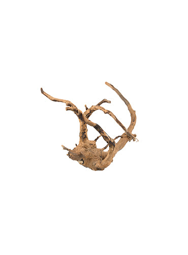 Laden Sie das Bild in Galerie -Viewer, PURE Ornaments NATURAL WOOD