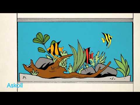 Carica e riproduci video in Gallery Viewer, Askoll ROBOFORMULA - Dosatore Elettronico Programmabile