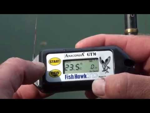 Load and play video in Gallery viewer, Anaconda GTM Fish Hawk - Professional Digital Thermometer for Carp Fishing