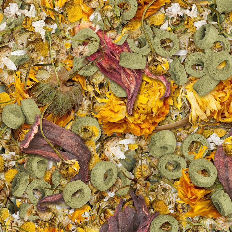 Carica immagine in Galleria Viewer, Sera Flowers'n'Loops Nature - Snack Naturale per Tartarughe Terrestri e Rettili Erbivori
