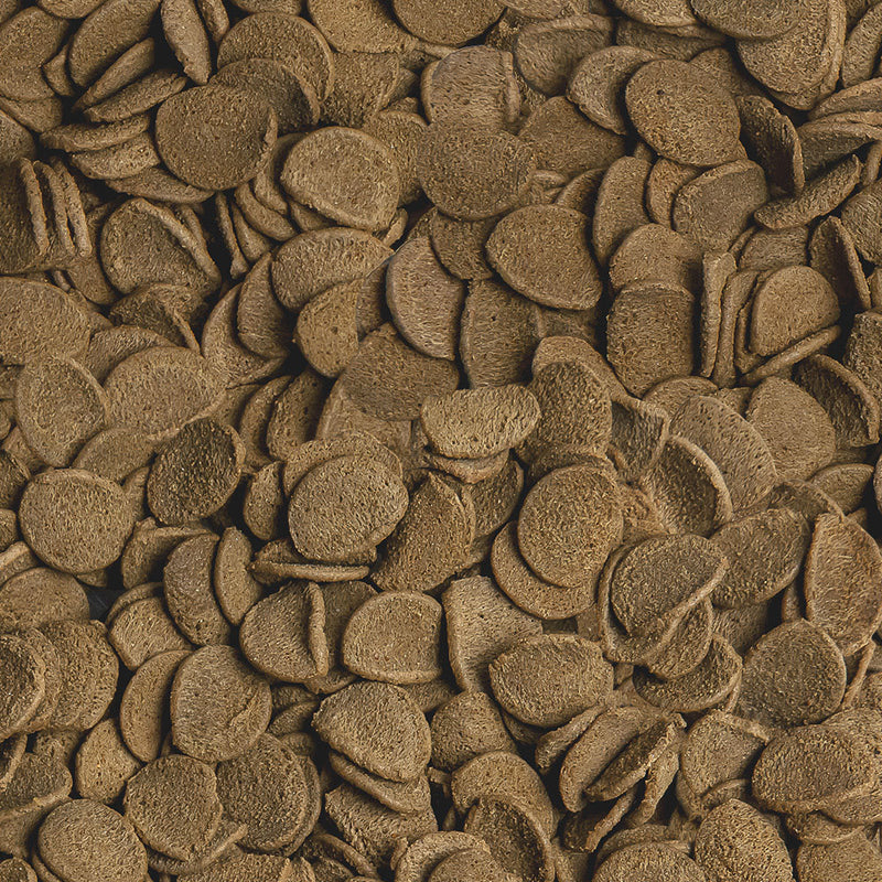 Laden Sie das Bild in Galerie -Viewer, Sera Vipachips Wafers - Mangime Completo per Pesci di Fondo