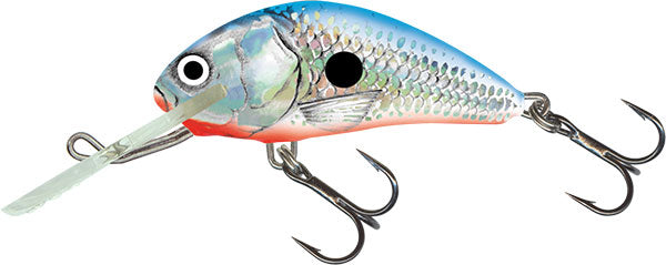 Carica immagine in Galleria Viewer, Salmo Hornet Floating 5cm