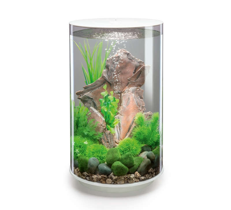 Laden Sie das Bild in Galerie -Viewer, biOrb Tube 30 bianco