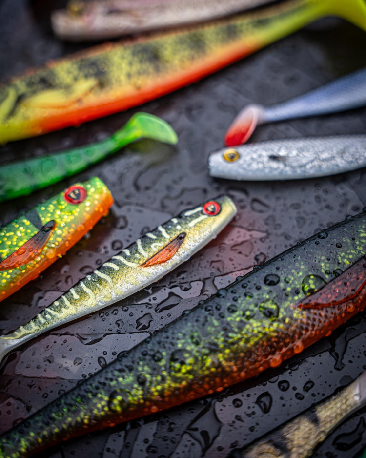 Novità Spinning e Predatori