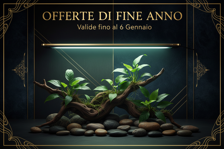 Offerte Natale e Befana 2025 - Acquari