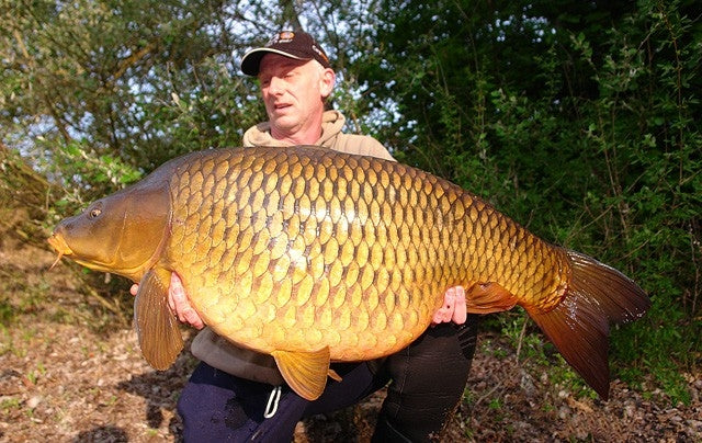 Laden Sie das Bild in Galerie -Viewer, Ib Carptrack Banana Boilie
