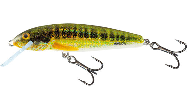 Chargez l'image dans la visionneuse de la galerie, Salmo Minnow Flottant - 5cm
