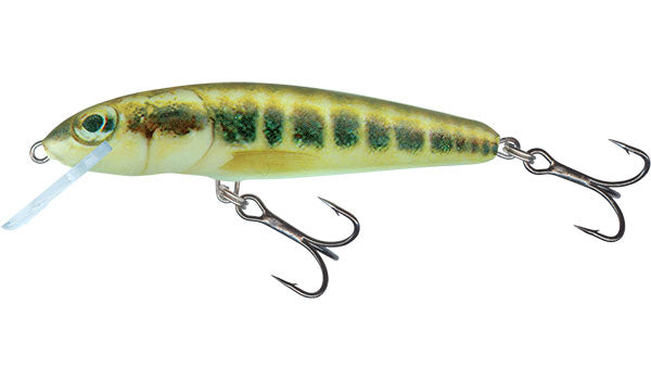 Chargez l'image dans la visionneuse de la galerie, Salmo Minnow Flottant - 5cm

